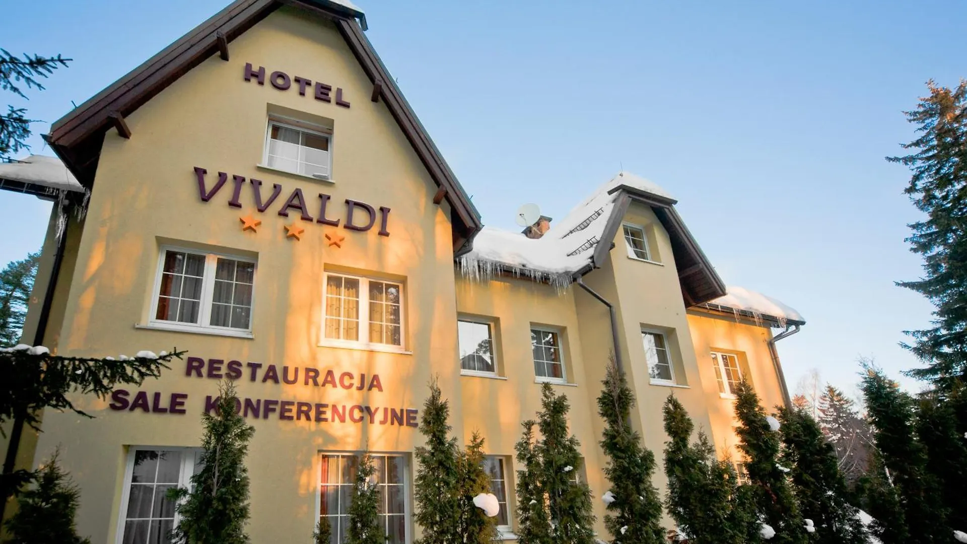 Hotel Vivaldi カルパッチ ポーランド